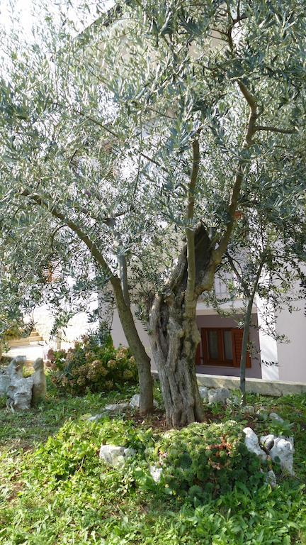 Apartments Libera Poreč Eksteriør billede